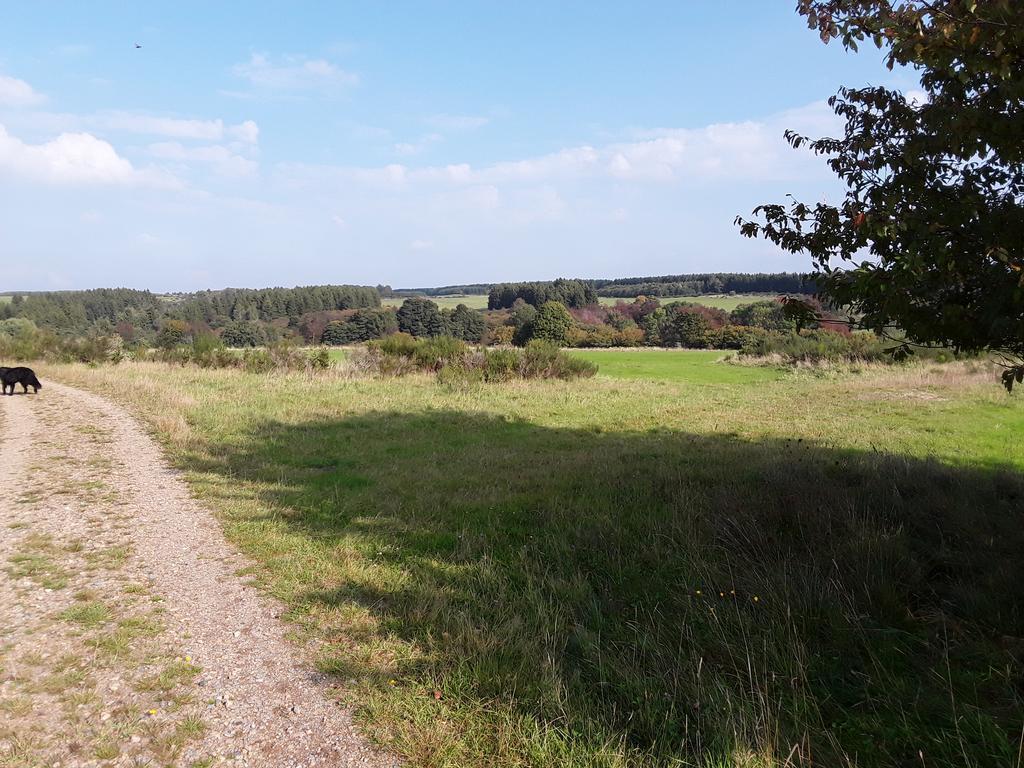 Ferienwohnung Pöhl am Nationalpark Eifel Schleiden Exterior foto